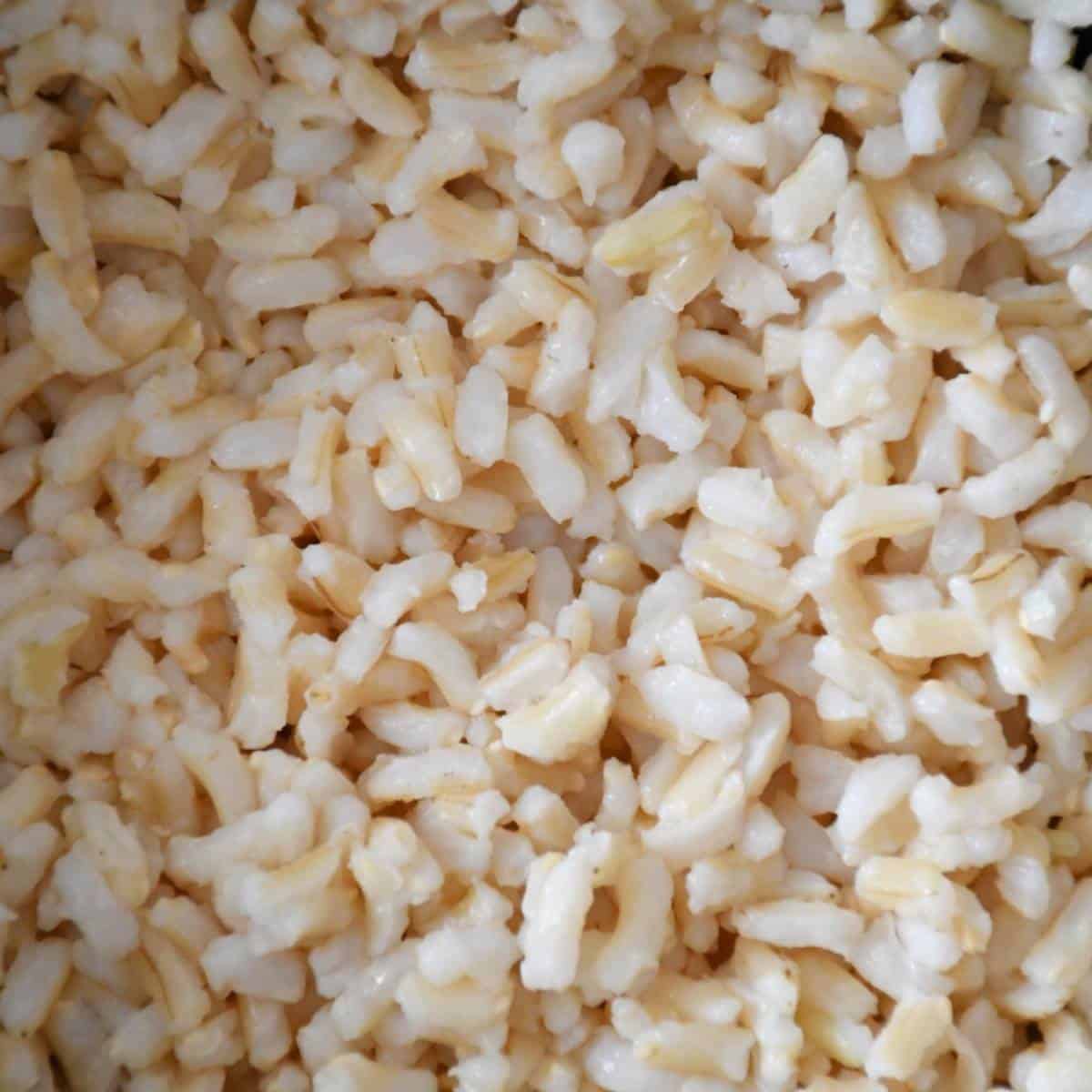 Close-up on cooked brown rice.